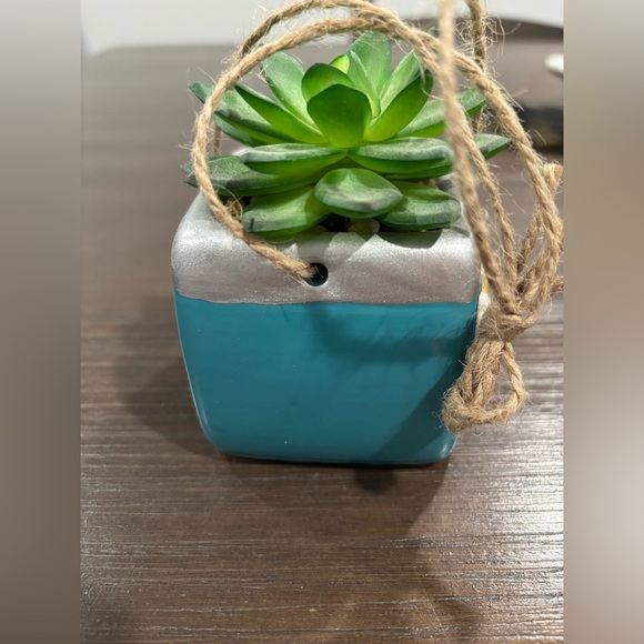 Blue Retro Camera with Fake Succulent Hanging Decor - Picture 5 of 7